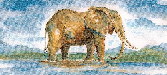 Elephant by Sophie Neville from 'Ride the Wings of Morning' her truelife book