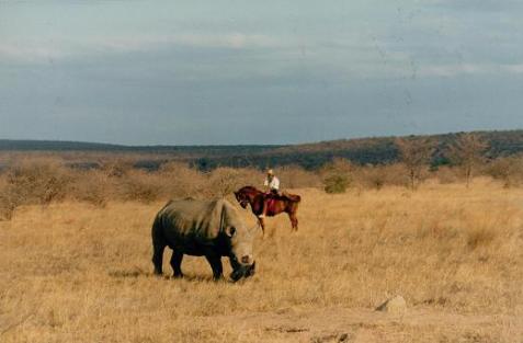 Sophie Neville at Touchstone with white rhino