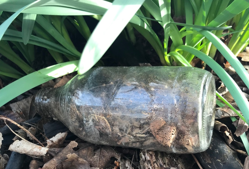Rubbish mouse nest in bottle
