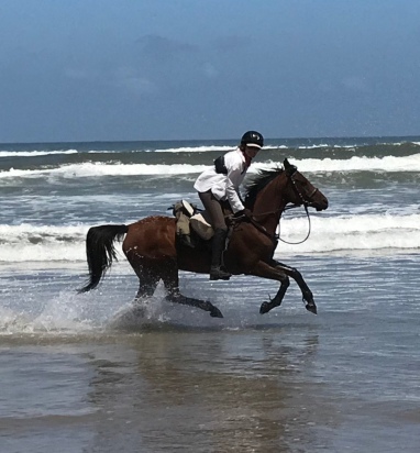 Sophie riding on the wild coast 2018