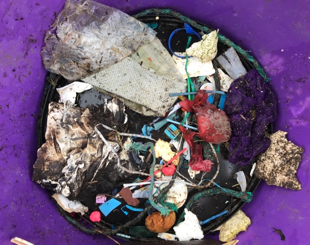 Rubbish bucket with Solent plastics wased up in a week