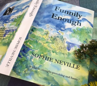 Funnily Enough by Sophie Neville